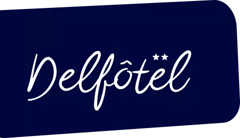 Logo Delfotel